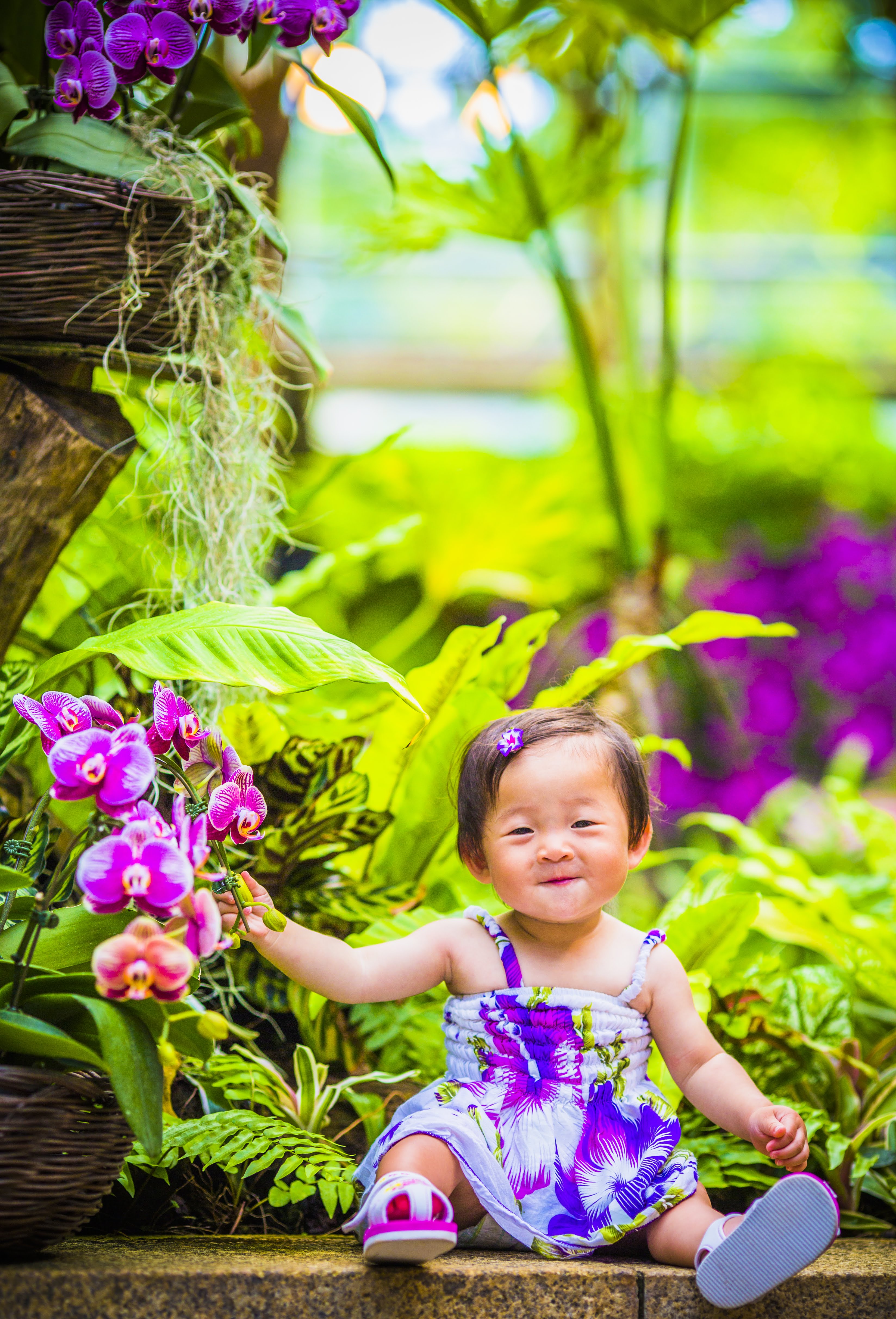 着物を着た小さな子どもが、花の前にしゃがんでいる