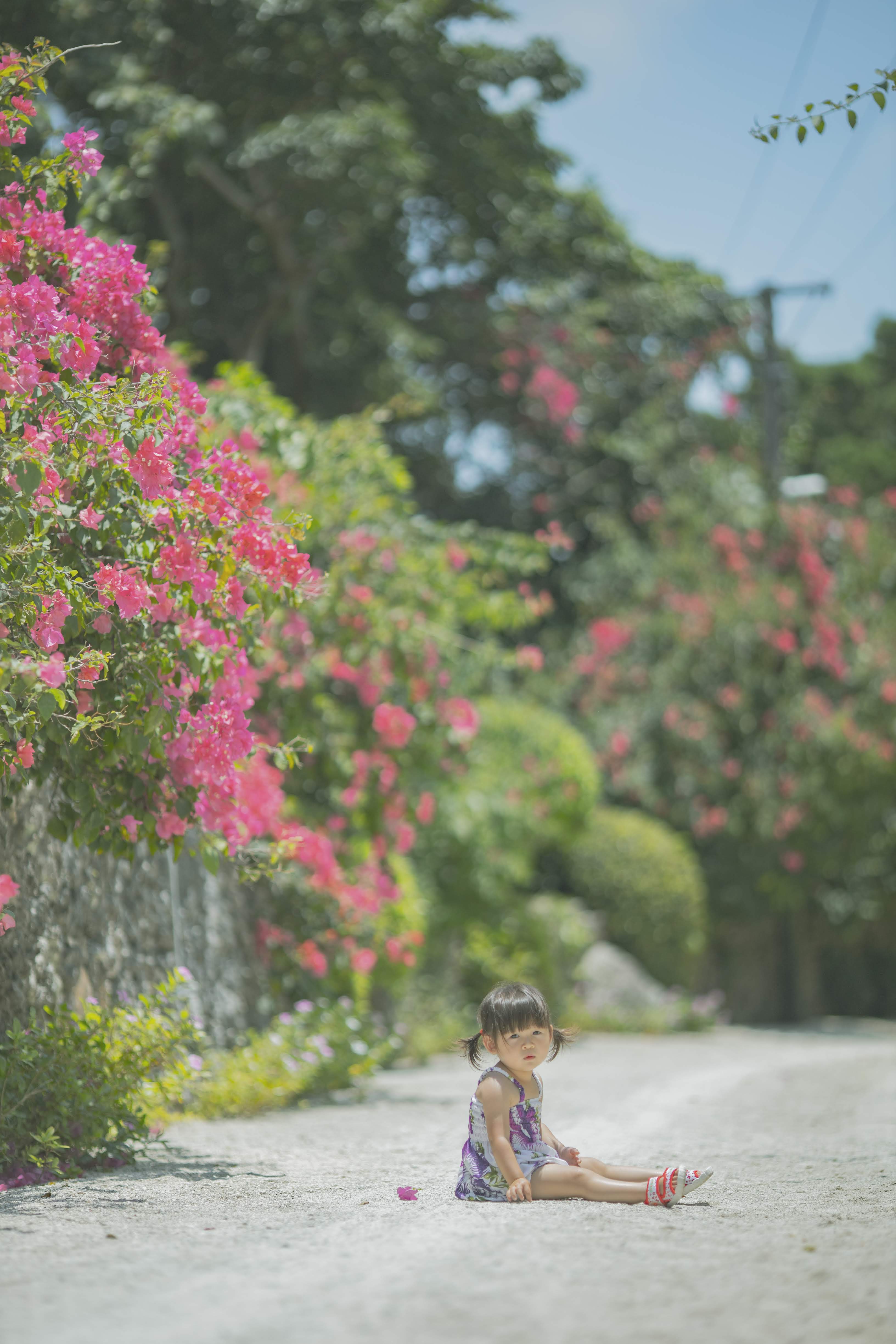 沖縄の花道に座る子どもの写真