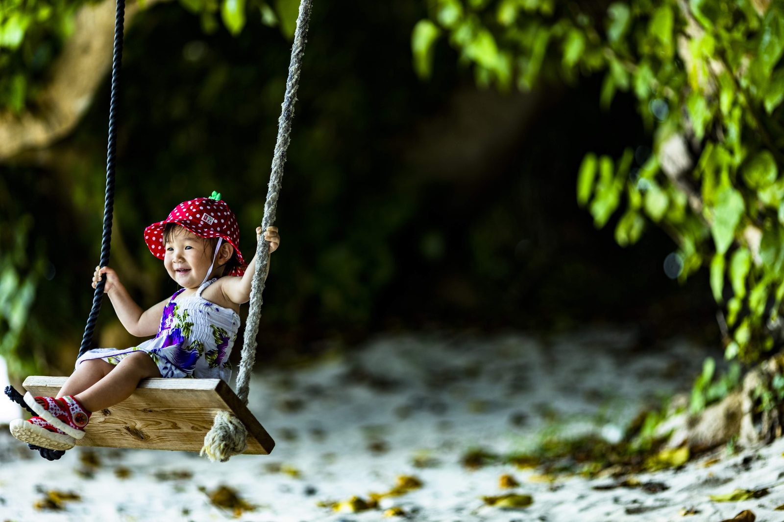 ブランコに乗る子どもの写真