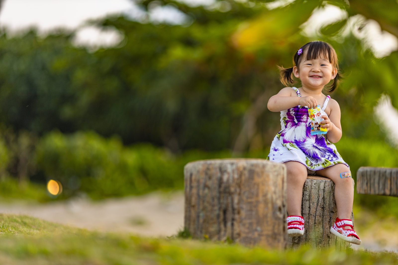 公園での子どもの撮影の作例